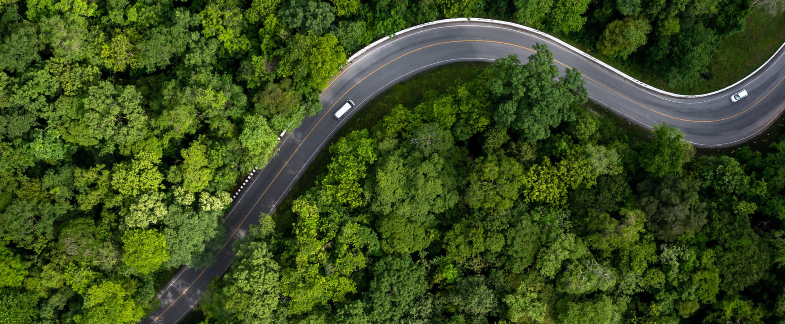 Bird's eye view of cars driving on a bendy road through a surrounding green forest of trees